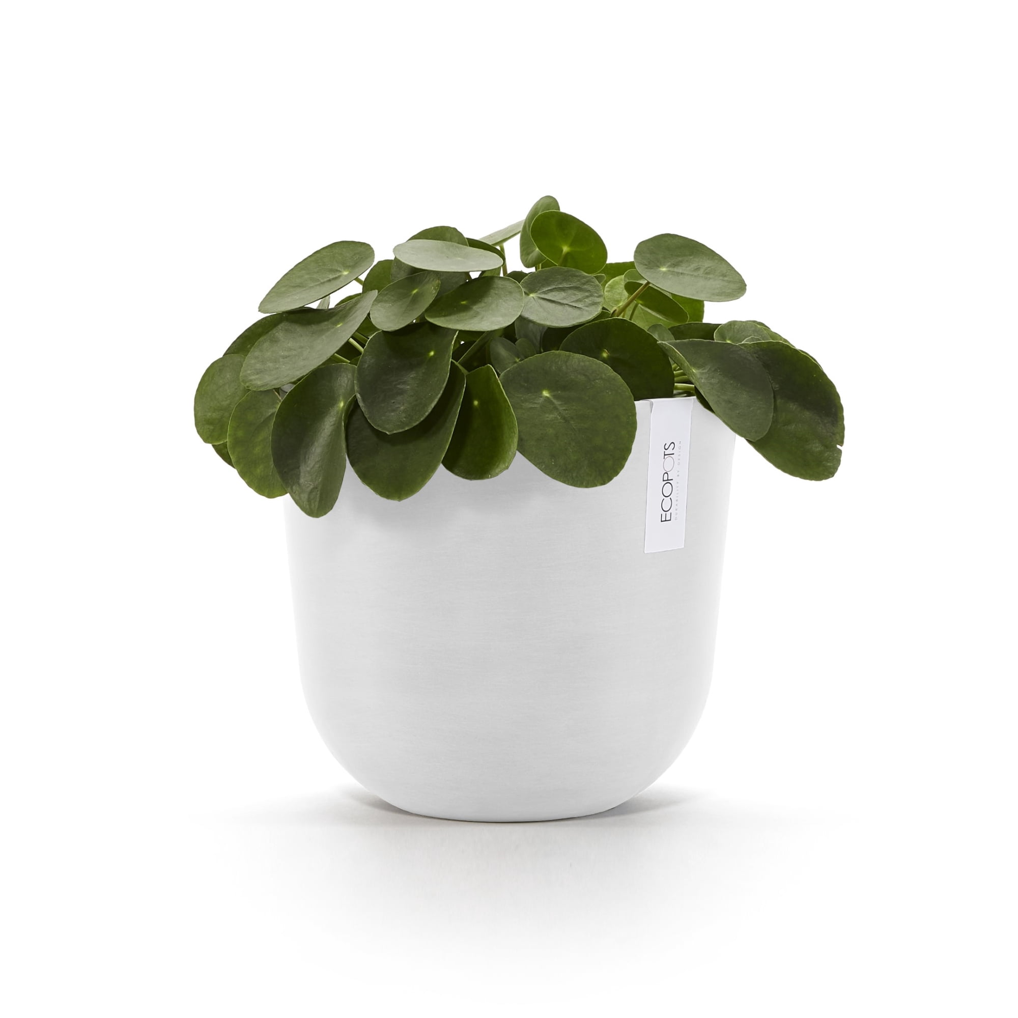 Ecopots Oslo Durable Modern Round Indoor/Outdoor Recycled Based Composite Flower Pot Planter, Pure White, 10"