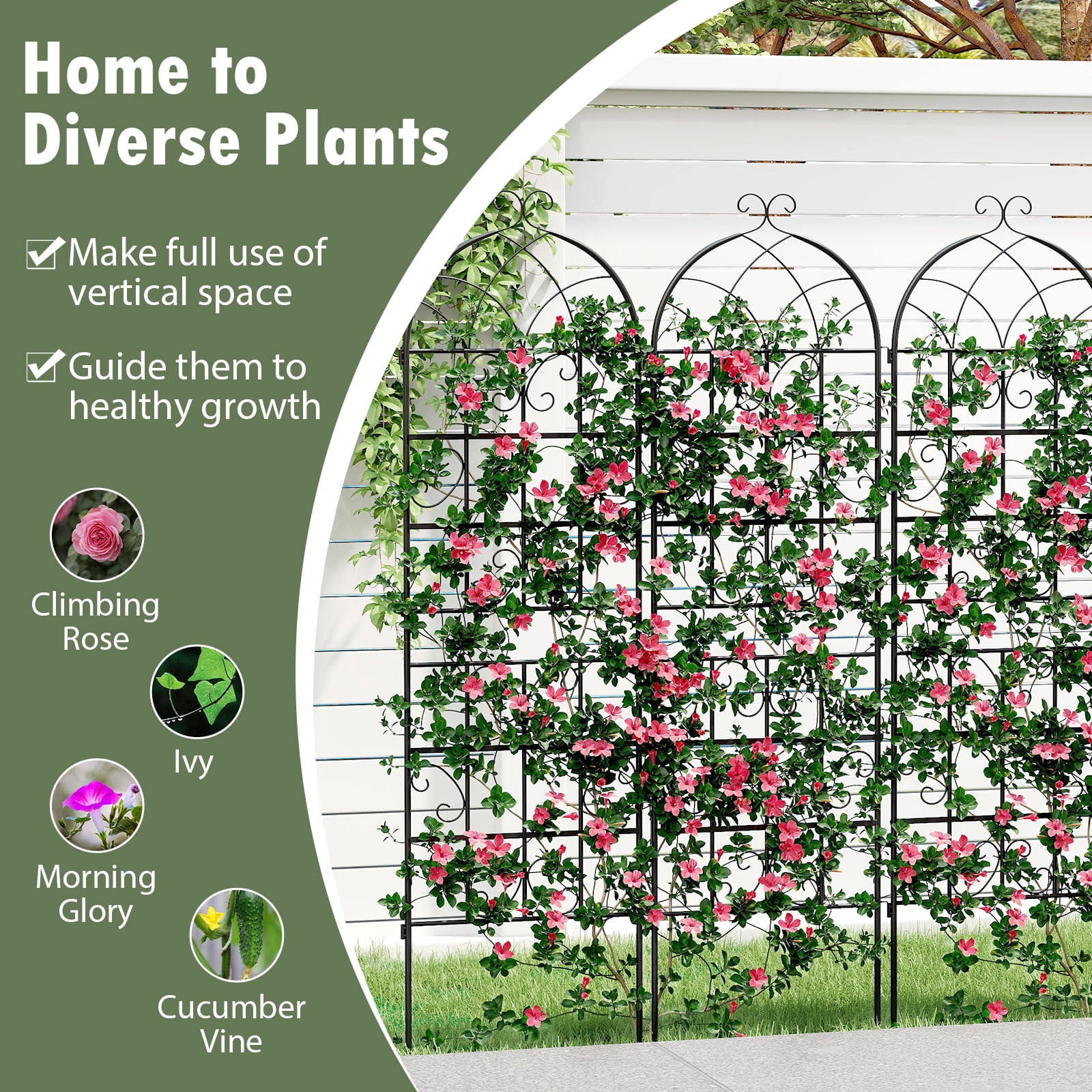 Patiojoy Metal Garden Trellis for Climbing Plants 2 Pack Fence Trellis Panels 71�� Tall Retro Style Cucumber Trellis