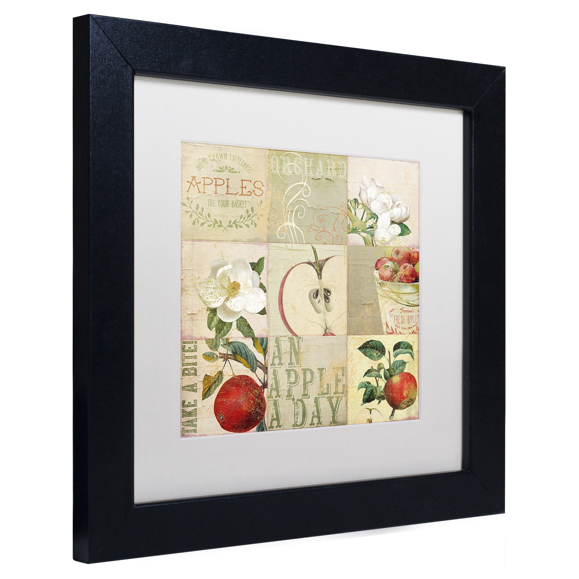 Trademark Fine Art "Apple Blossoms III" Canvas Art by Color Bakery White Matte, Black Frame