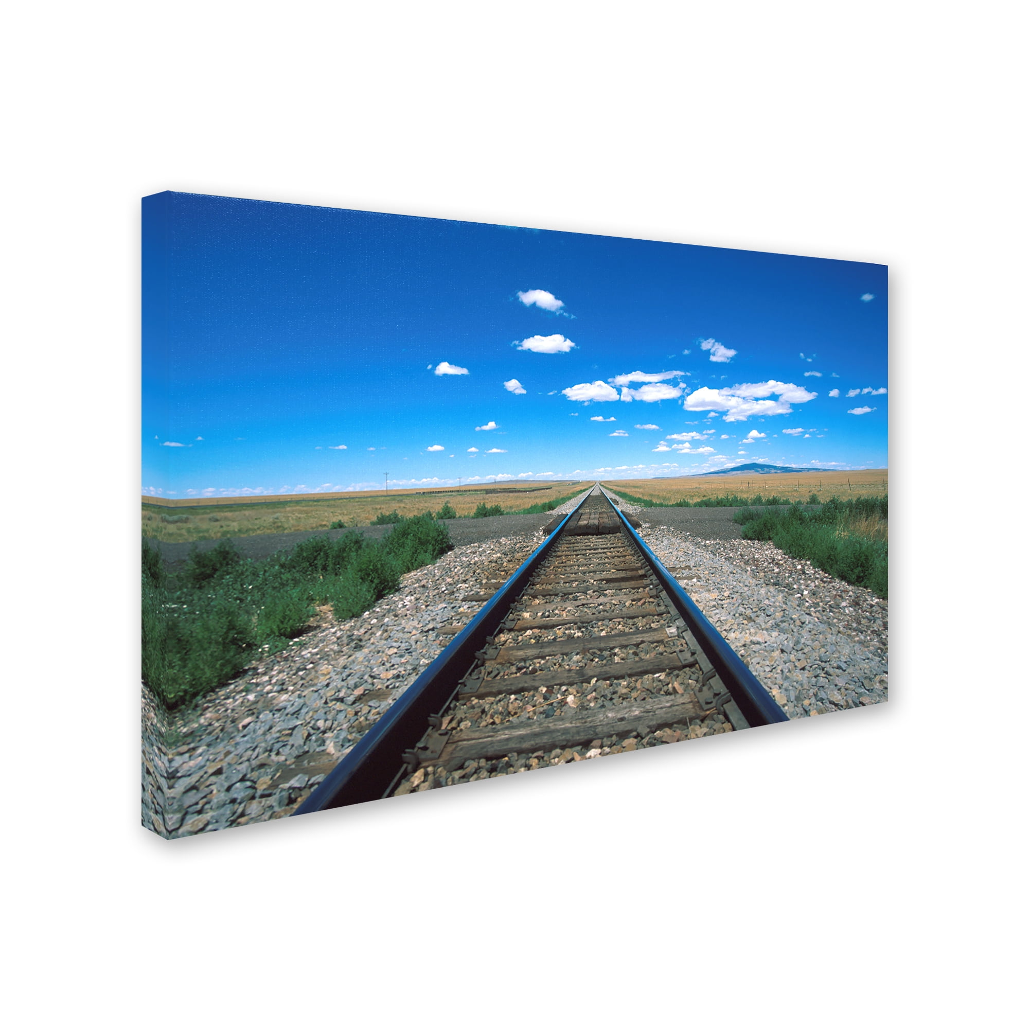 Trademark Fine Art 'Texas Tracks 2' Canvas Art by Robert K Jones