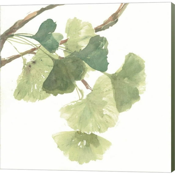 Gingko Leaves I on White by Chris Paschke, Canvas Wall Art