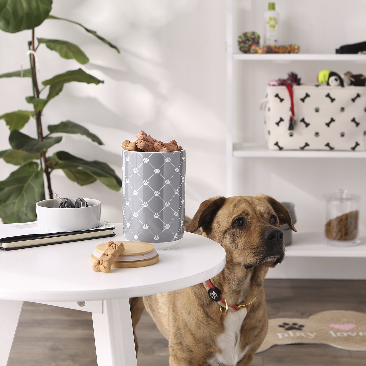 Bone Dry Trellis Paw Pet Treat Canister with Bamboo Lid Dog & Cat, 4x6.5", Gray