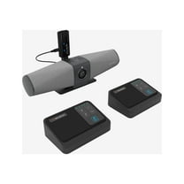 AVerMedia AW111 - Microphone system