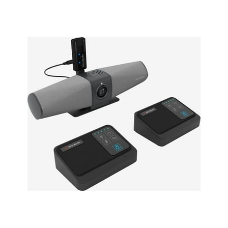 AVerMedia AW111 - Microphone system