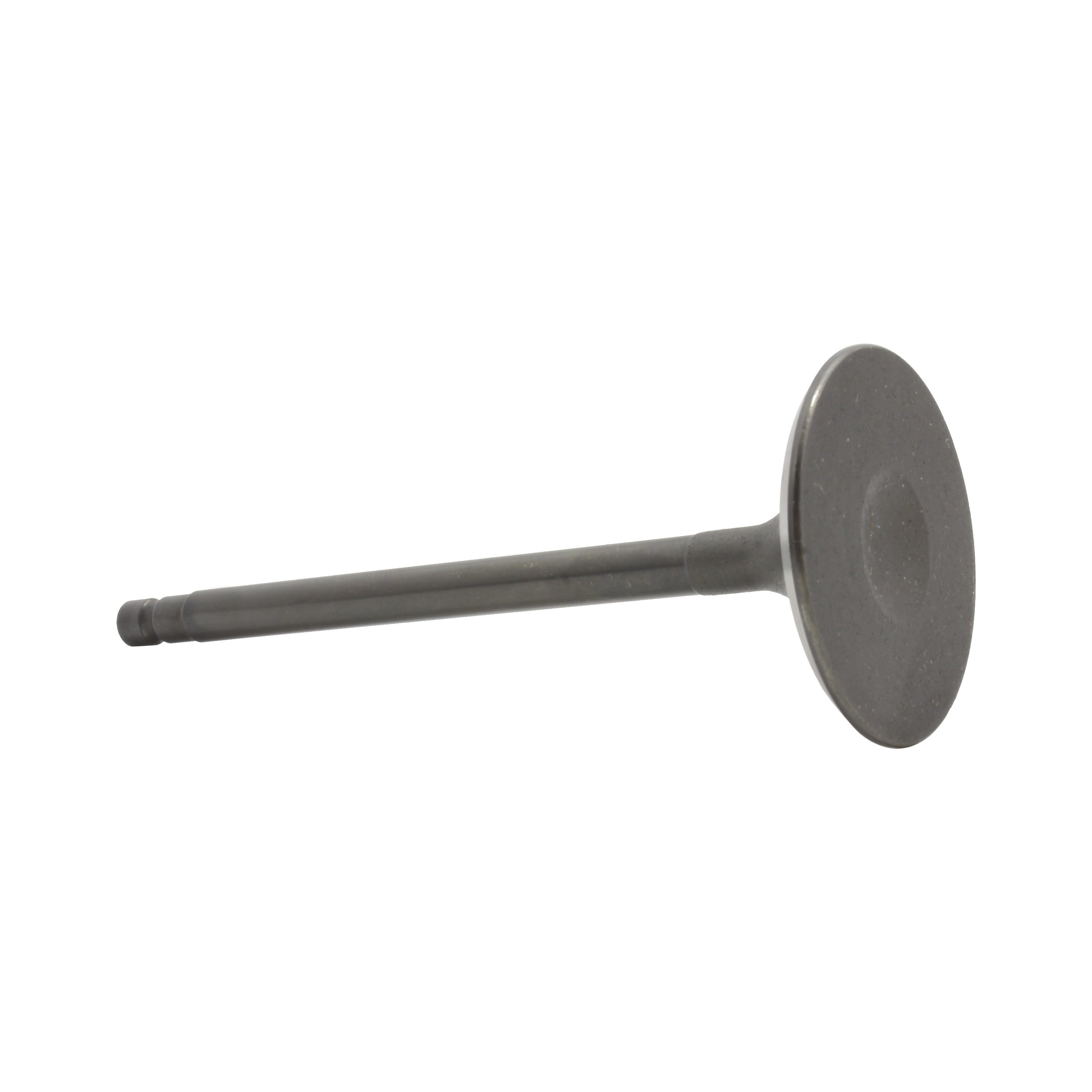 DNJ IV644 Engine Cylinder Head Valve Train Intake Valve