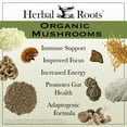 thumbnail image 3 of Cápsulas de suplemento Herbal Roots Mushroom Blend 8 Organic, 3 of 6