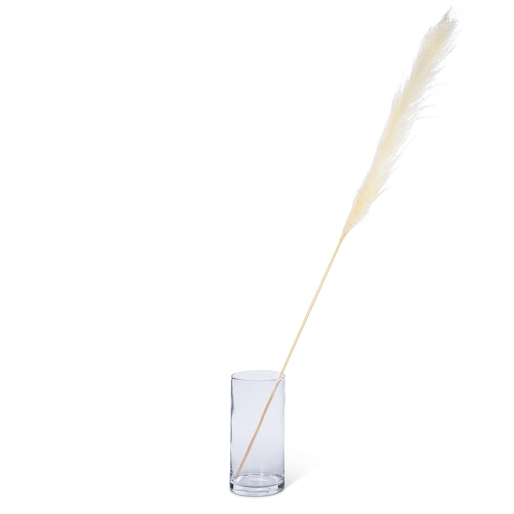 Set of 4 Extra Large Pampas Grass