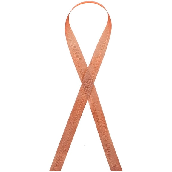 Seam Binding Rayon Ribbon 1/2-Inch x 100 Yards (152 - Burnt Rust)