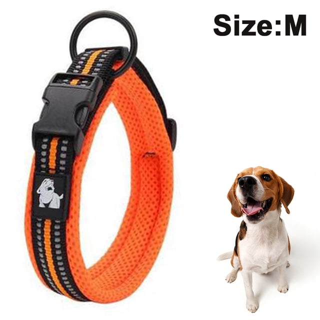 Collar para perro mediano y grande, Collar para perro acolchado de malla reflectante 3M, Collar ajustable de nailon para mascotas de aventura al aire libre
