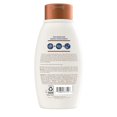 thumbnail image 6 of Aveeno Apple Cider Vinegar Clarifying Shampoo, Shine Enhancing, 12 fl oz, 6 of 6