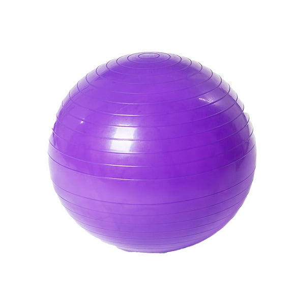 Exercise Ball Extra Thick Professional Grade Balance & Stability Ball- Includes Hand Pump Purple 75cm