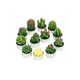 thumbnail image 1 of Velas Decorativas Cactus y Suculenta Artificiales 12 Pz, 1 of 3