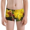 thumbnail image 5 of Yiaed Cactus Flowers Print Boys' Boxer Briefs Cotton Casual Stretch Comfort Boys Boxers - Kids Boxer Briefs Underwear for Boys (6-18)-Small, 5 of 5