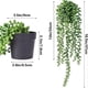 thumbnail image 4 of Plantas suculentas artificiales | Decoración colgante en maceta | Vegetación de plástico realista para sala de estar, dormitorio y escritorio de oficina, 4 of 9