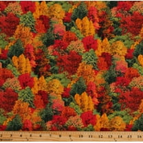Cotton Autumn Trees Woods Forest Leaves Fall Color Tour Landscape Medley Cotton Fabric Print by the Yard (309MULTI)