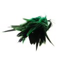 thumbnail image 5 of Aprox. 200Pcs Tenio la Pluma Verde del Gallo de la Decoracion, 5 of 5