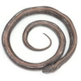 thumbnail image 2 of Lifelike Snake Model, Snake Model Long Service Life Durable  For Gift For Children Rewardsz, 2 of 8