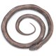 thumbnail image 3 of Estatuilla de Modelo de Serpiente Ccdes PVC, 3 of 8