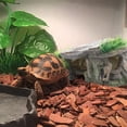 thumbnail image 4 of Turtle Basking Platform for Aquarium, Resting Terrace for Tortoise and Climbing Platform, Resin Realistic Stone Ornament for Fish Tank, Turtle Dock for Small Aquarium and Terrarium (B), 4 of 5