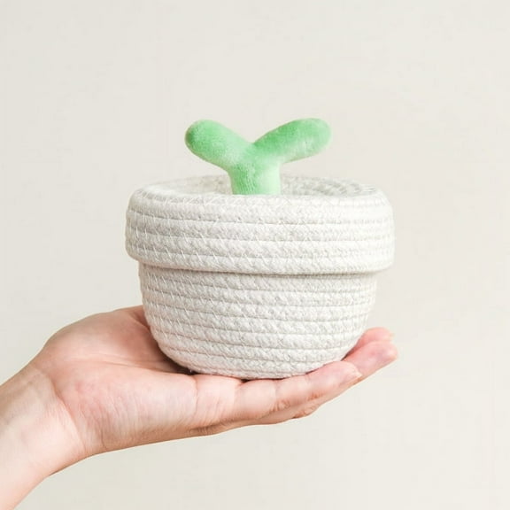 LEXSOMEO Small Woven Basket For Organizing Desktop Woven Basket Kitchen Cute Storage Basket For Bathroom Seagrass Storage Baskets Beige