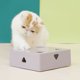 thumbnail image 5 of ABS Cat Feather Toy Anti-caída Funny Cat Stick para artículos para mascotas (Púrpura) Ehuebsd Para estrenar, 5 of 8
