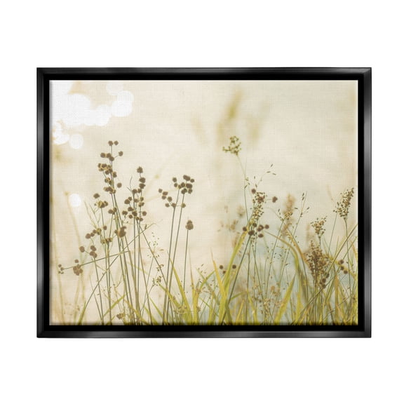 Stupell Industries Rural Country Grasses Botanical & Floral Photography Black Floater Framed Art Print Wall Art, 21 x 17