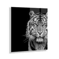 Kate and Laurel Tiger Minimalist Animal Portrait Black and White Floating Acrylic Art by The Creative Bunch Studio, 23x23, Decorative Animal Art for Wall