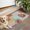 Pioneer Flower Floral-1, variant on Pioneer Flower Floral Print Pattern Door Rugs,Washable Non Slip Door Mats Indoor,Decorative Door Mats,Entry Mat Indoor for Entrance,Bedroom,Kitchen,Bathroom,17"x30"