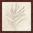 thumbnail image 3 of Great Art Now Plantlife by Julia Purinton, 2 Piece Framed Art Set Each 13.25"W x 13.25"H, 3 of 3