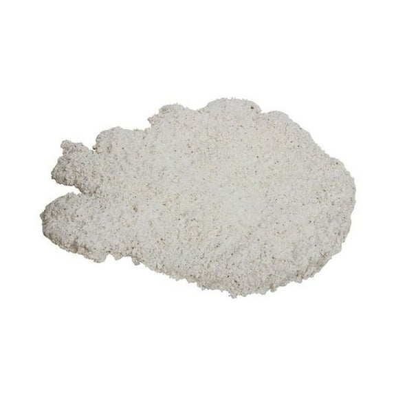 Holten Meat Breaded Pork Loin Fritters, 7 Ounce -- 24 per case