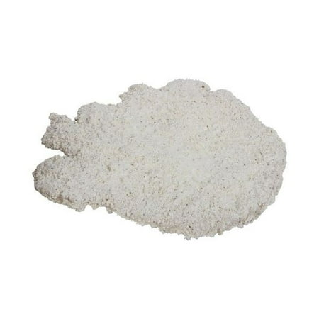 Holten Meat Breaded Pork Loin Fritters 7 Ounce — 24 per case