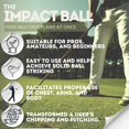 thumbnail image 3 of Pelota de impacto para golf CHAPTER 29, entrenadora pequeña azul y naranja, 3 of 6