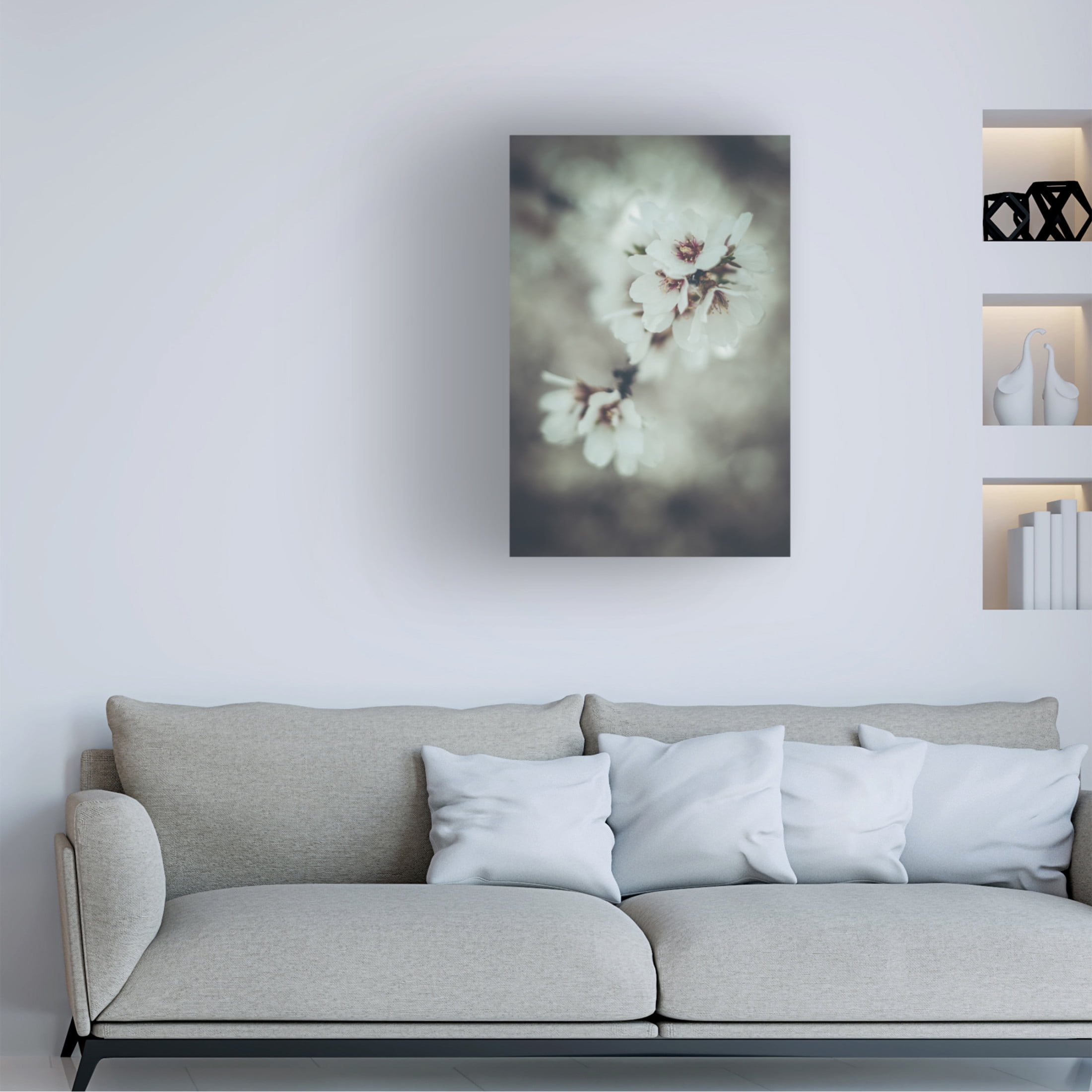Trademark Fine Art Tim Mossholder Almond Blossoms Canvas Wall Art