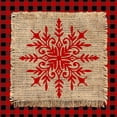 thumbnail image 3 of Allen, Kimberly 20x20 Black Modern Framed Museum Art Print Titled - Snowflake Winter 3 V2, 3 of 5