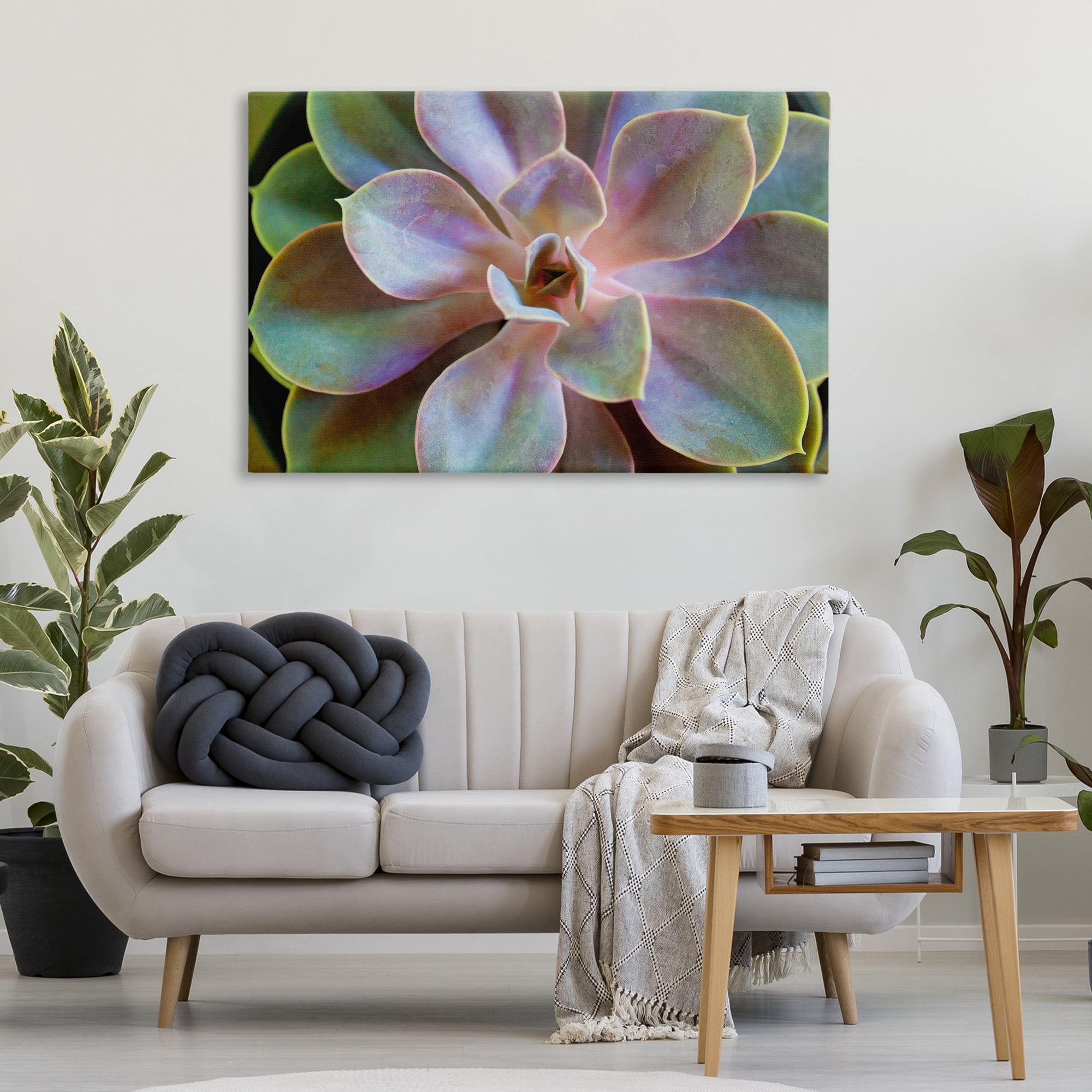 Stupell Industries Blooming Succulent Leaves Plants & Flowers Photography Wrapped Canvas Art Print Wall Art, 45 x 30