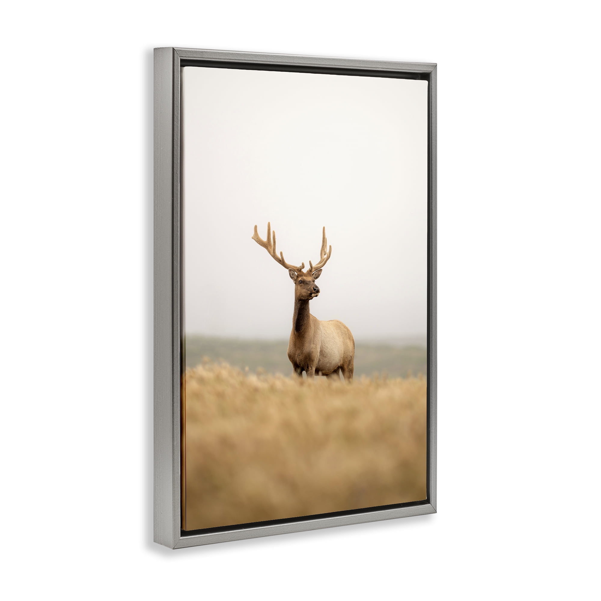 Stupell Industries Stoic Tule Elk Landscape & Nature Photography Gray Floater Framed Canvas Art Print Wall Art, 21 x 31