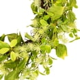 thumbnail image 5 of Northlight Decorative Plastic Jujube Floral Springtime Artificial Wreath, Green, 5 of 8