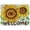 Flowers, variant on Latch Hook Rug Kit, Sunflower Pattern Printed Canvas DIY Rug Latch Hook Kits for Adults Beginners, Embroidery Decoration 19.7 * 15.0 inches