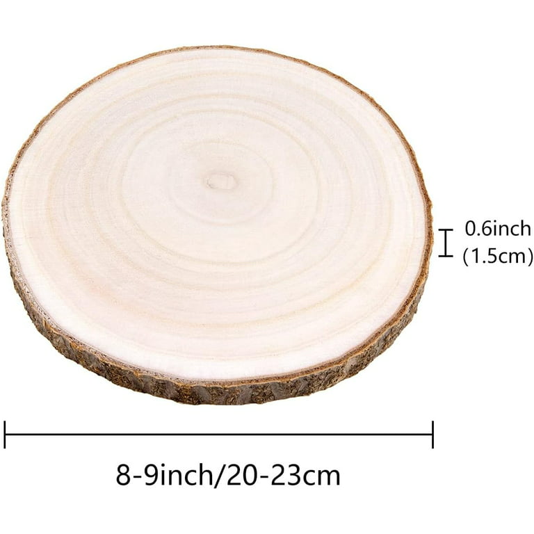 Large Log Slice/ Wood Slab With Bark 19 to 20 plus x 2 Inch