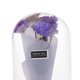 thumbnail image 3 of Romantic con Cubierta de para Terrario Micro Landscape - Morado, Individual Púrpura BLESIY terrario de cristal de la planta de la flor, 3 of 8