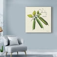 thumbnail image 3 of Trademark Fine Art 'Linen Vegetable IV v2' Canvas Art by Studio Mousseau, 3 of 3