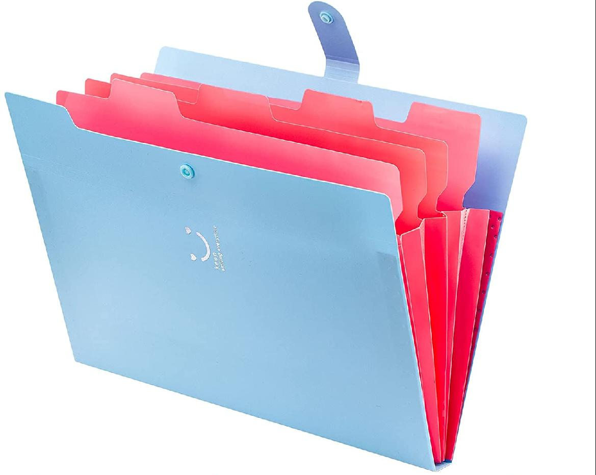 Expanding File Folder, Folderfor Important Documents Folder Organizer with Labels Accordion