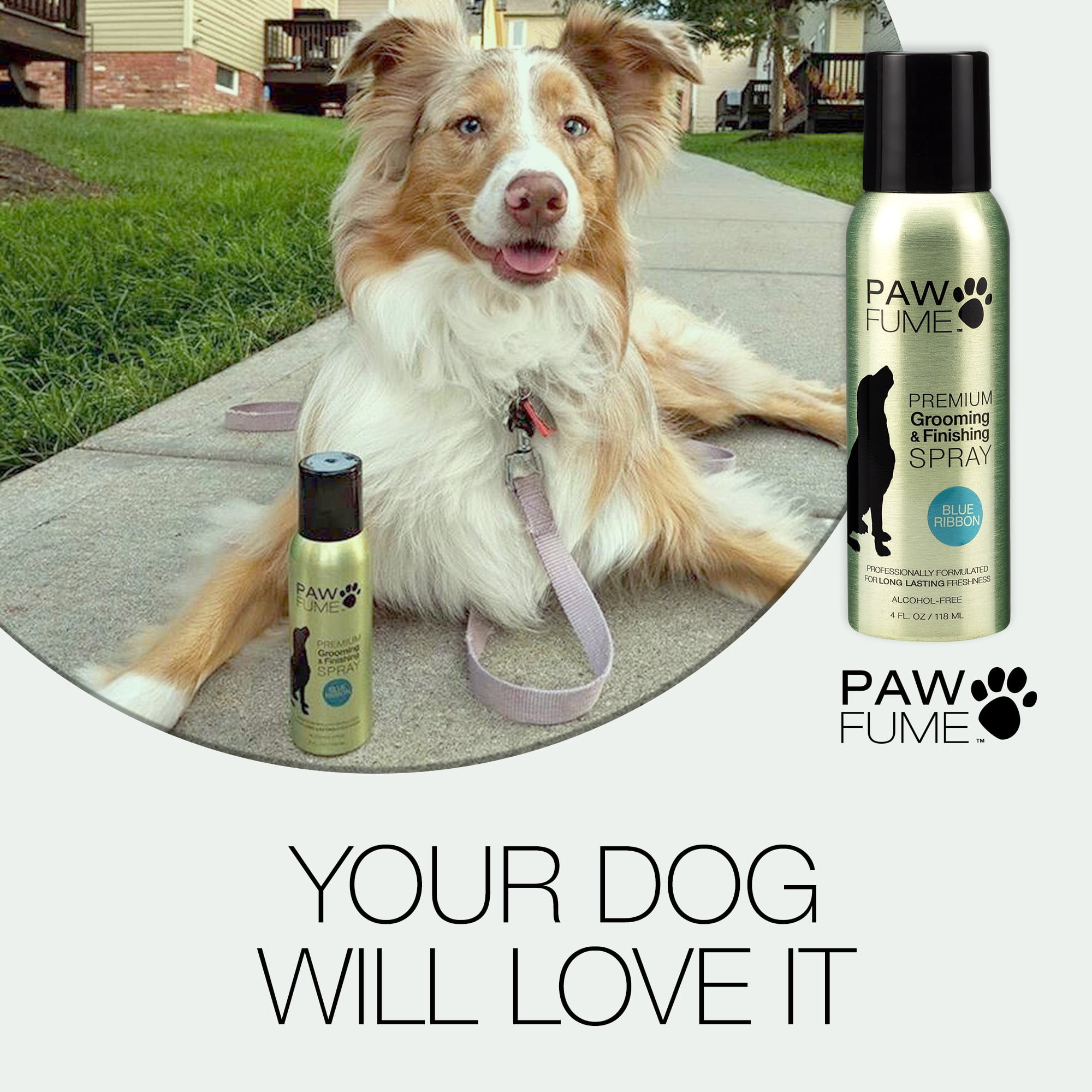 PawFume Blue Ribbon Premium Grooming and Finishing Deodorizer Dog Spray, 4 fl oz Can