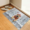 thumbnail image 3 of Playful Chinese Shar-Pei Welcomes Winter Snowy Day with Cardinal Bird Doormat Dog Lover Indoor Outdoor Welcome Mat - 2017, 3 of 5