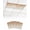 Orange Light Beige, variant on Fluorescent Light Covers for Ceiling Lights 1 Pack, Orange Botanical Magnetic Ceiling Light Covers 2x4ft for Classroom Office School, Watercolor Leaf Fall Thanksgiving Drop Ceiling Light Shade