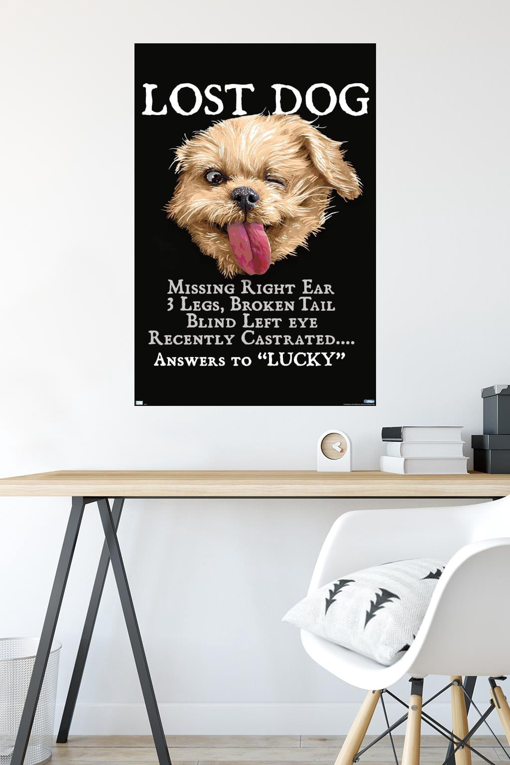 Jim Baldwin - Lost Dog Wall Poster, 22.375" x 34"