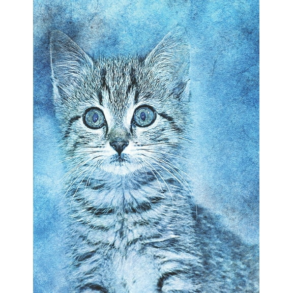 Cat lovers Sketch Book: with 20 cat coloring pages to color, paint, doodle, and sketch . for all cat lovers, 8.5 x 11 (Paperback)