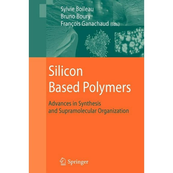 Silicon Based Polymers: Advances in Synthesis and Supramolecular Organization, (Paperback)