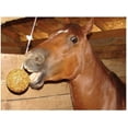 thumbnail image 6 of Uncle Jimmys 2 Pack Of Hanging Ball Apple Flavored Treats For Horses, 3 Pound Each, 6 of 7