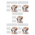 thumbnail image 3 of VONKY 14piece Non-toxic Dog Toothbrush Safe Ingredients All Round Clean Easy Operation Scratch-proof 5Set, 3 of 6